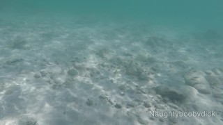 Public exhibitionist german teen with big boobs on the sea showing pussy and ass