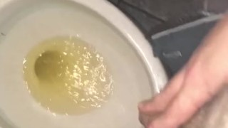 Bear Pissing in public