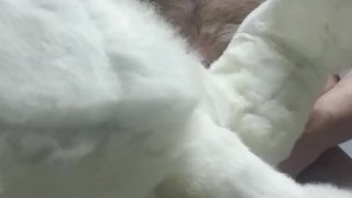 Plush Bunny Fuck