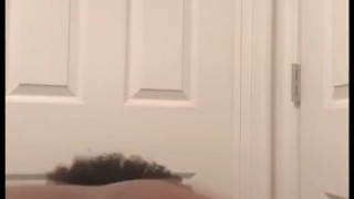 Twerk Comp