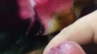 Raw uncircumcised masturbation (serving volcanic eruption horchata)