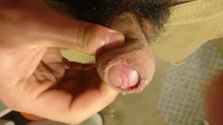 A jugar con el juguete