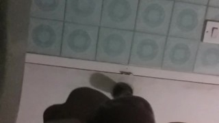 paja rapidita