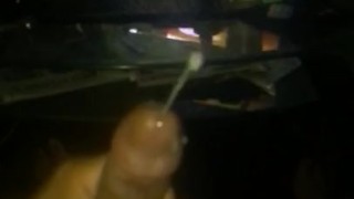Busted Nut lV