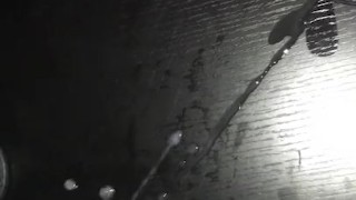 Busted Nut Vl