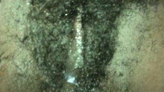 Pussy