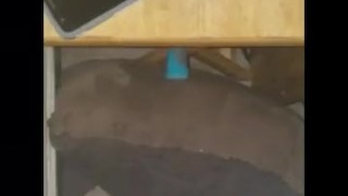 I was just admiring my fat cock