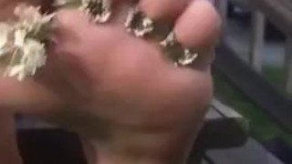 Pretty Toes