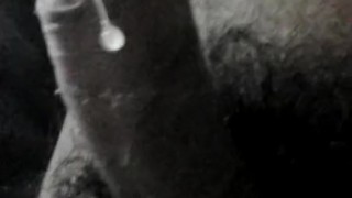 Para