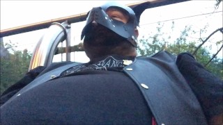 stuffed pup at bear bash