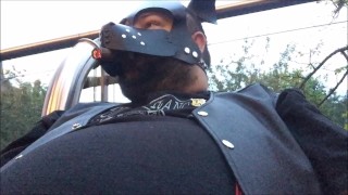 stuffed pup at bear bash