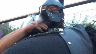 stuffed pup at bear bash