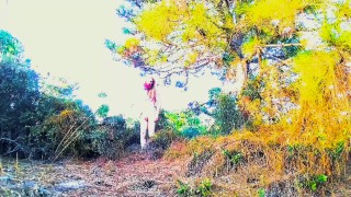 Foraging & Scouting