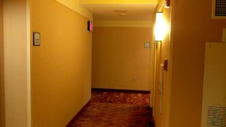 Hotels are for Stripping