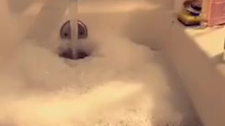 Shower Hour