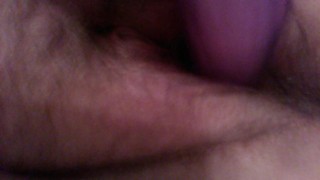 Furry, round 2 with toy