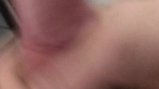 Otter Male Quick Jerk Off