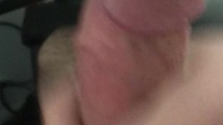 Otter Male Quick Jerk Off