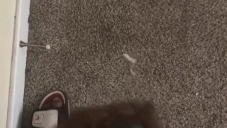 Quick nut before work