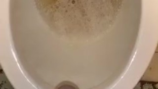 Bathroom Break