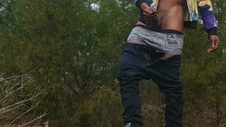 JayJay And The Wood