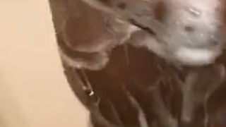 BlacBonnie Shower Tease
