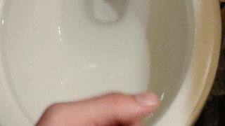 Cumming to my Anime book (Sin of Lewdness)