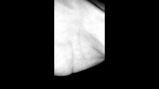 Almost caught - Young perv with dick out of pants