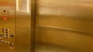 Mylie Blonde Get naked in the ELEVATOR , PUBLIC FLASHING