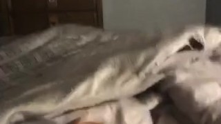 HUGE ITALIAN COCK JERK OFF