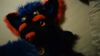 Little Femboywolf is waching porn and cum in his face Pt.3