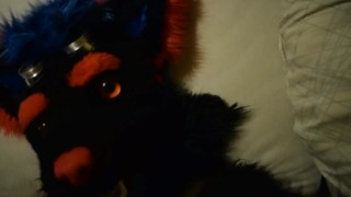 Little Femboywolf is waching porn and cum in his face Pt.3