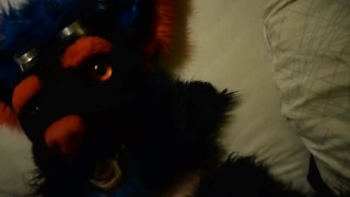 Little Femboywolf is waching porn and cum in his face Pt.3