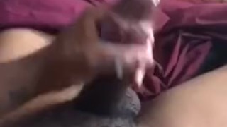 Swallow All My Nut.