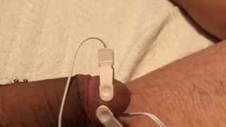 Electric shock cock