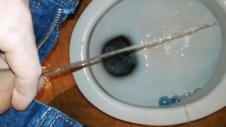 Pissing at home spay can