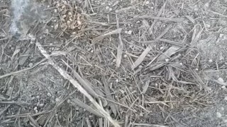 Pissing on the side of the road