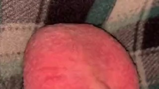 Dripping Precum with my seven inch virgin cock