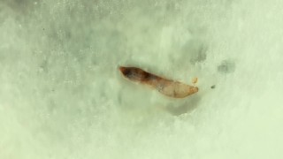 Cum onto friends cum mess after he jerk off at public