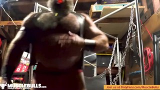 MUSCLE BULL SHOWS OFF AND SMOKES A CIGAR