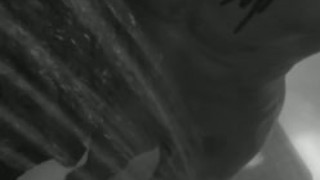 BBC Shower Peekaboo