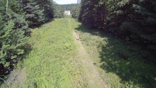 A naked jog with a drone follower