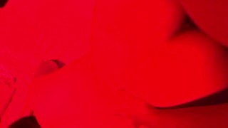 Doggystyle - en cuatro