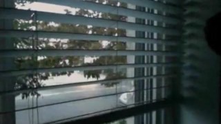 House window dick flashing