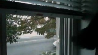 House window dick flashing