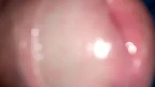 Quick jacking off session