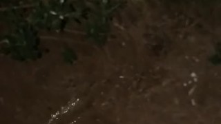 Late night piss