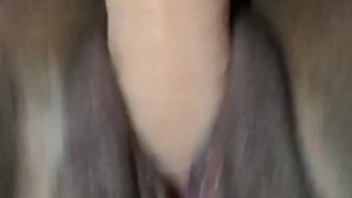 BBW plays with toy