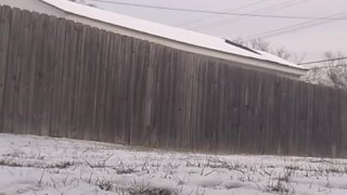 Locked out pee in snow