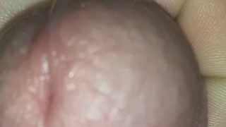 Barely Chub Dick Shows Precum HD